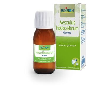 aesculus hippocastanum macerato glicerico 60 ml int
