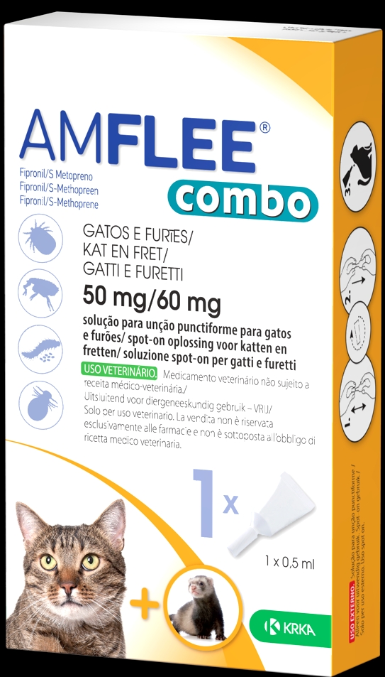 amflee combo*1pip gatti/furett