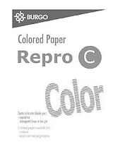 Carta A4 Repro C Color Bianco - 250 Fogli - 160 Grammi