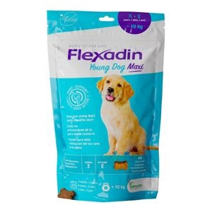 Flexadin Young Dog Maxi 60 Chews