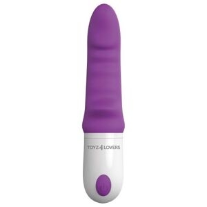 Vibratore Piccolo Fallo Vibrante Vaginale Dildo Doppio Stimolatore Clitoride Sex